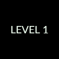 Level 1 Exam