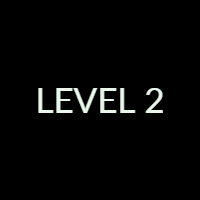Level 2 Exam
