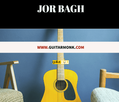 Guitar classes in Jor Bagh Delhi Learn Best Music Teachers Institutes