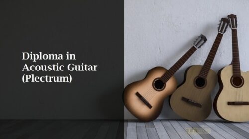 Diploma in Acoustic Guitar (Plectrum) | Professional Course | Career