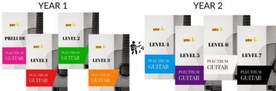 Diploma in Acoustic Guitar Plectrum Style - 8 Levels