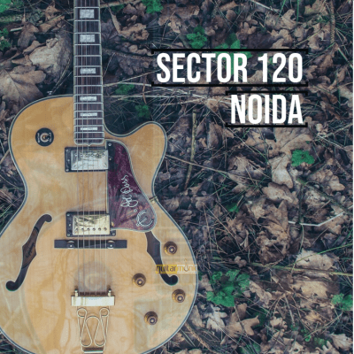 Guitar classes in Sector 120 Noida Learn Best Music Teachers Institutes