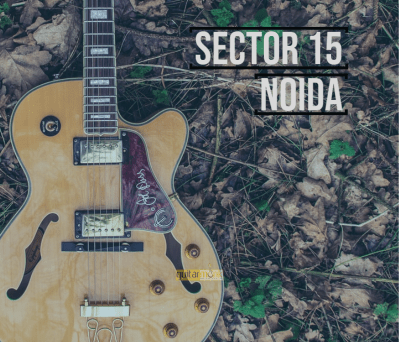 Guitar classes in Sector 15 Noida Learn Best Music Teachers Institutes