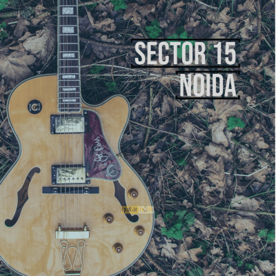 Guitar classes in Sector 15 Noida Learn Best Music Teachers Institutes