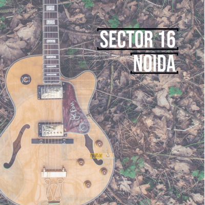 Guitar classes in Sector 16 Noida Learn Best Music Teachers Institutes