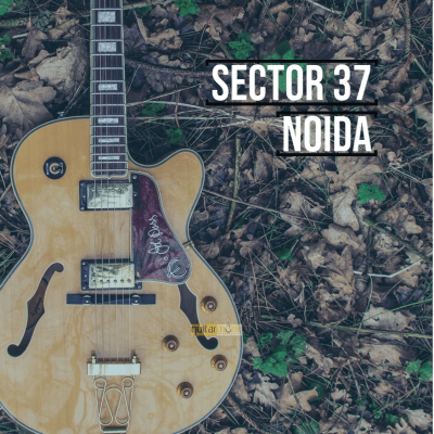 Guitar classes in Sector 37 Noida Learn Best Music Teachers Institutes