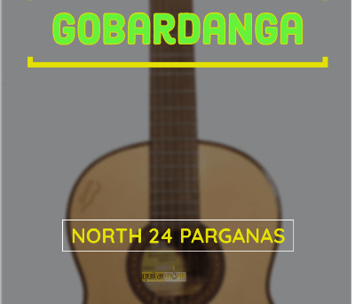 Guitar classes in Gobardanga North 24 Parganas Learn Best Music Teachers Institutes