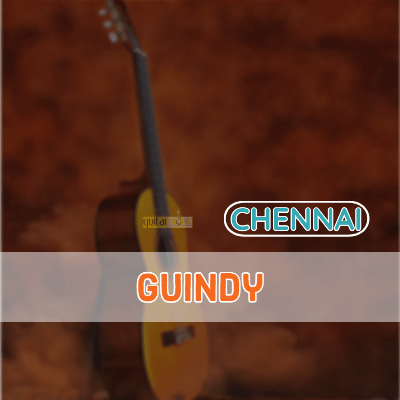 Guitar classes in Guindy Chennai Learn Best Music Teachers Institutes
