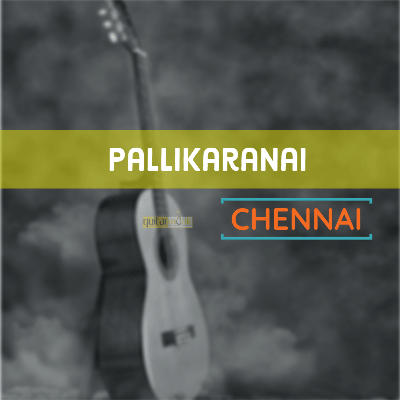 Guitar classes in Pallikaranai Chennai Learn Best Music Teachers Institutes