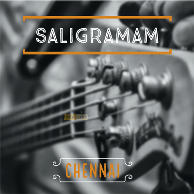Guitar classes in Saligramam Chennai Learn Best Music Teachers Institutes
