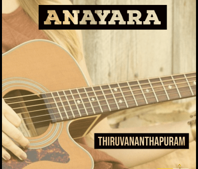 Guitar classes in Anayara Thiruvananthapuram Learn Best Music Teachers Institutes