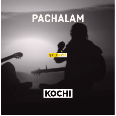 Guitar classes in Pachalam Kochi Learn Best Music Teachers Institutes