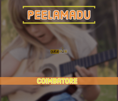 Guitar classes in Peelamadu Coimbatore Learn Best Music Teachers Institutes