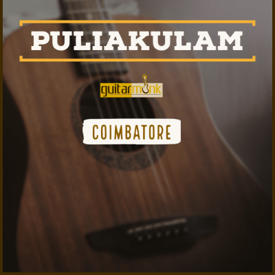 Guitar classes in Puliakulam Coimbatore Learn Best Music Teachers Institutes