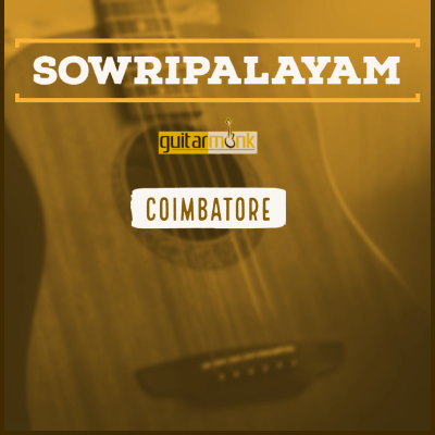 Guitar classes in Sowripalayam Coimbatore Learn Best Music Teachers Institutes