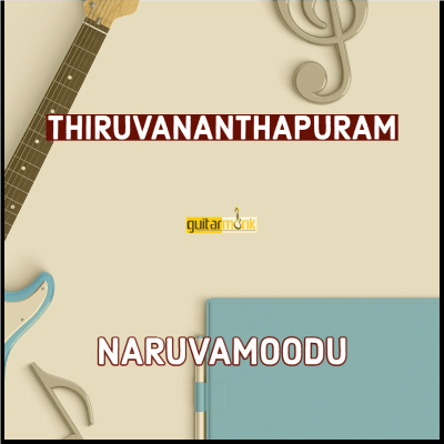 Guitar classes in Naruvamoodu Thiruvananthapuram Learn Best Music Teachers Institutes