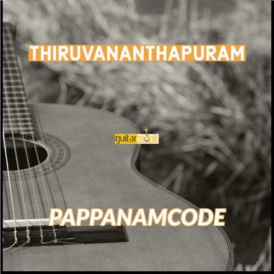 Guitar classes in Pappanamcode Thiruvananthapuram Learn Best Music Teachers Institutes