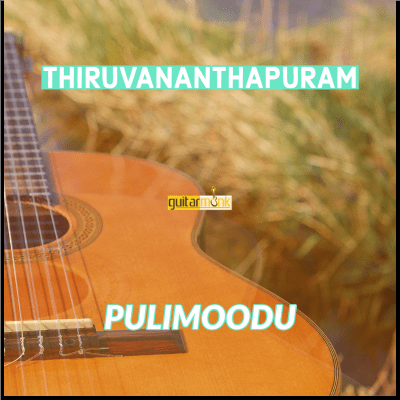 Guitar classes in Pulimoodu Thiruvananthapuram Learn Best Music Teachers Institutes
