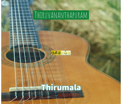 Guitar classes in Thirumala Thiruvananthapuram Learn Best Music Teachers Institutes