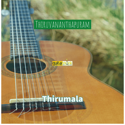 Guitar classes in Thirumala Thiruvananthapuram Learn Best Music Teachers Institutes