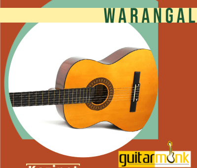 Guitar classes in Kazipet Warangal Learn Best Music Teachers Institutes